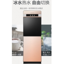長虹飲水機立式雙開門推杯升級飲水機溫熱款CYS-E09