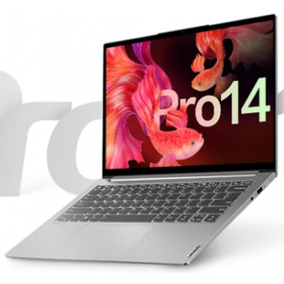 聯(lián)想（Lenovo） 小新Pro14 標(biāo)壓銳龍 高性能全面屏輕薄筆記本電腦 R7-5800H 16G 512G 2.8K屏